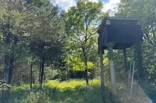 0000 Pleasant Grove Rd, Corinth, KY 41010 - Photo 1