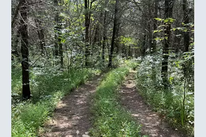 0000 Pleasant Grove Road, Corinth, KY 41010 - Photo 11