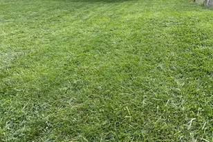 38 Old Stephenson Mill Rd, Walton, KY 41094 - Photo 27