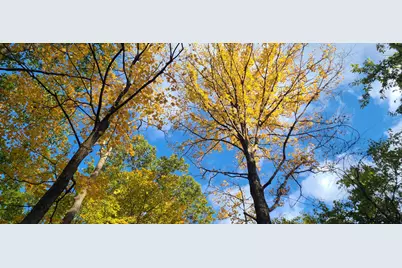 2502 Center Street, Covington, KY 41014 - Photo 7