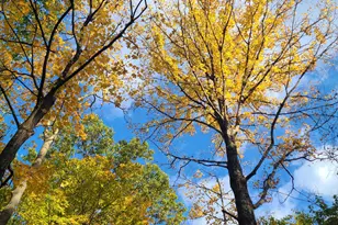 2502 Center St, Covington, KY 41014 - Photo 7