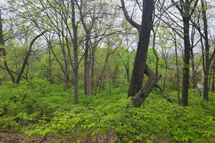 2502 Center St, Covington, KY 41014 - Photo 13