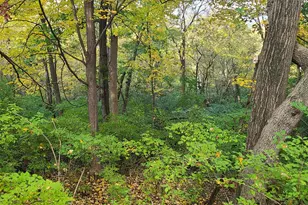 2502 Center St, Covington, KY 41014 - Photo 9