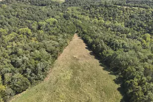 4056 Jett Estates Ln, Germantown, KY 41044 - Photo 37