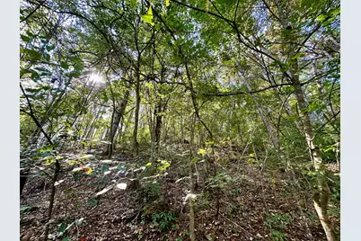 1010 Hill City Road, Maysville, KY 41056 - Photo 21