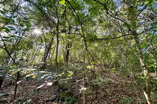 1010 Hill City Rd, Maysville, KY 41056 - Photo 21