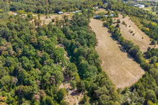 259 Riverview Ln, Falmouth, KY 41040 - Photo 19