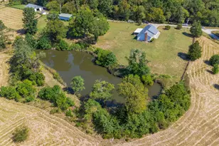 259 Riverview Ln, Falmouth, KY 41040 - Photo 17