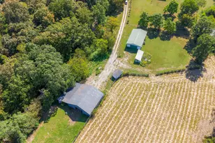 259 Riverview Ln, Falmouth, KY 41040 - Photo 21