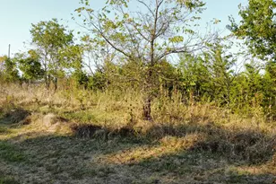 0 Jackie Ln, Owenton, KY 40359 - Photo 1