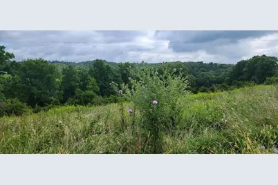 15711 Pfanstiehl Road, Demossville, KY 41033 - Photo 15