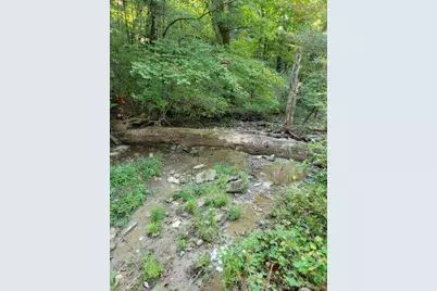 15711 Pfanstiehl Road, Demossville, KY 41033 - Photo 3