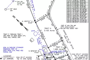 0 1316 Hwy, Sparta, KY 41086 - Photo 5