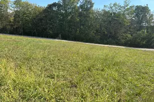 0 1316 Hwy, Sparta, KY 41086 - Photo 3