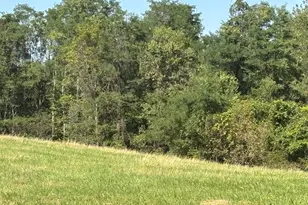 0 16 Hwy, Warsaw, KY 41095 - Photo 3