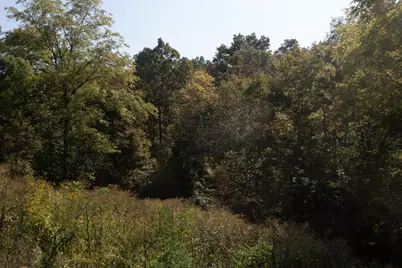 0 Roselawn Drive, Williamstown, KY 41097 - Photo 19