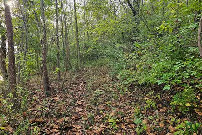 817 Ed Monroe Road, Falmouth, KY 41040 - Photo 21