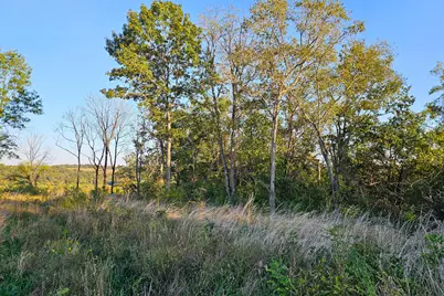 817 Ed Monroe Road, Falmouth, KY 41040 - Photo 17