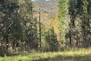 2690 Cedar Creek Rd, Owenton, KY 40359 - Photo 39