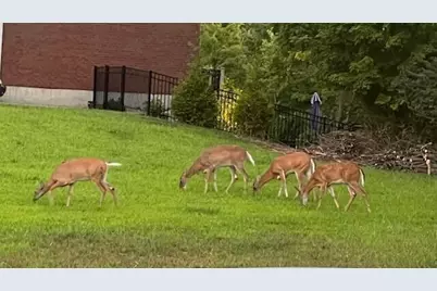 1443 Shirepeak Way, Independence, KY 41051 - Photo 13