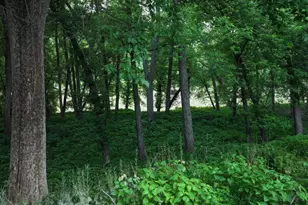 45 Springport Dr, Perry Park, KY 40363 - Photo 35