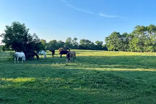 3383 Hathaway Rd, Union, KY 41091 - Photo 49