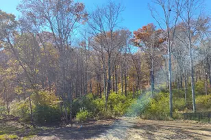 12076 Blue Ash Ln, Independence, KY 41051 - Photo 3