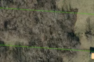 10081 Timbercreek Dr, Union, KY 41091 - Photo 45