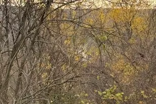 10263 Decoursey Pike, Latonia, KY 41015 - Photo 31