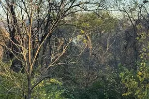 10263 Decoursey Pike, Latonia, KY 41015 - Photo 23