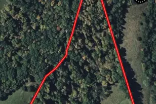 530 Rankin Mill Rd, Falmouth, KY 41040 - Photo 37