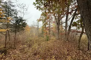 530 Rankin Mill Rd, Falmouth, KY 41040 - Photo 43