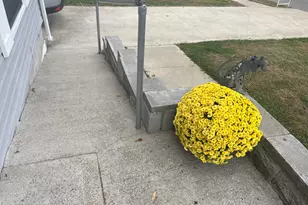 399 Blue Jay Cir, Falmouth, KY 41040 - Photo 3