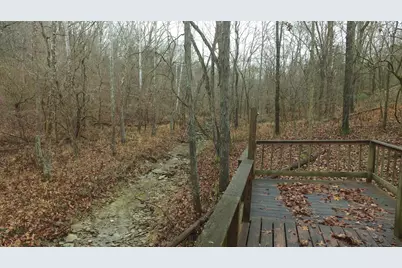 85 Hillwood Road, Perry Park, KY 40363 - Photo 15