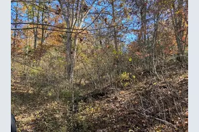 5420 Central Ridge Road, Mount Olivet, KY 41064 - Photo 13