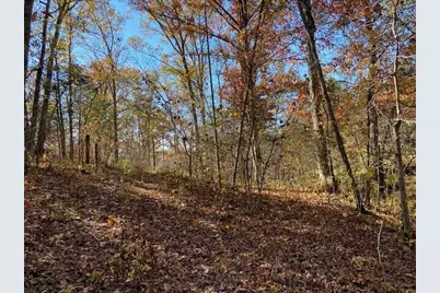 5420 Central Ridge Road, Mount Olivet, KY 41064 - Photo 5