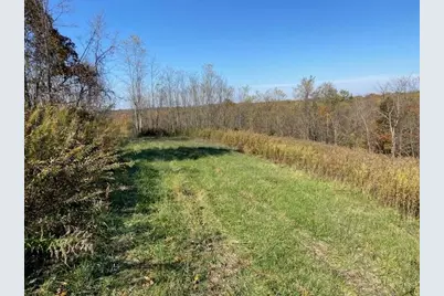 5420 Central Ridge Road, Mount Olivet, KY 41064 - Photo 7