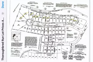 127 Belmont Ct, Williamstown, KY 41097 - Photo 45