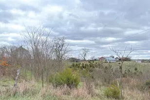 2951 Greenwood-Portland Rd, Demossville, KY 41033 - Photo 9