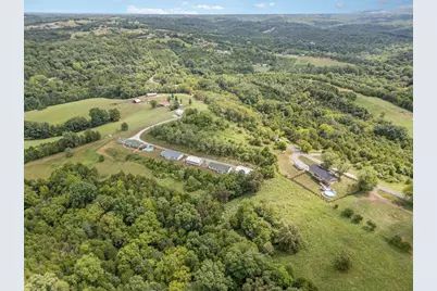 170 Buffalo Ridge Road, Falmouth, KY 41040 - Photo 5