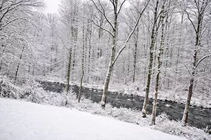 1632 Shady Cove Ln, Florence, KY 41042 - Photo 23