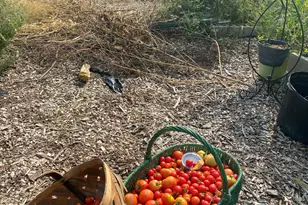 628 Ravens Creek Ln, Cynthiana, KY 41031 - Photo 41