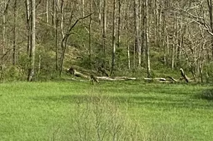 628 Ravens Creek Ln, Cynthiana, KY 41031 - Photo 43