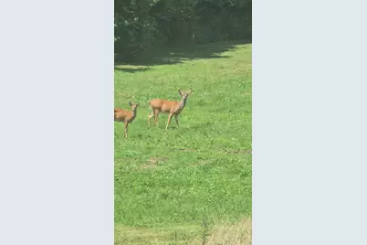 628 Ravens Creek Lane, Cynthiana, KY 41031 - Photo 37