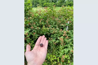 628 Ravens Creek Lane, Cynthiana, KY 41031 - Photo 39