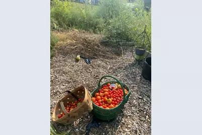 628 Ravens Creek Lane, Cynthiana, KY 41031 - Photo 41