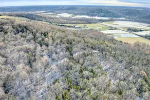 3386 KY-467, Glencoe, KY 41046 - Photo 15