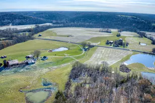 3386 KY-467, Glencoe, KY 41046 - Photo 5