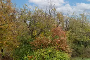 4389 Alleen Ct, Independence, KY 41051 - Photo 31