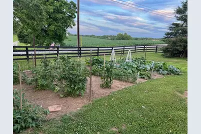 3869 Kentucky 435, Dover, KY 41034 - Photo 43